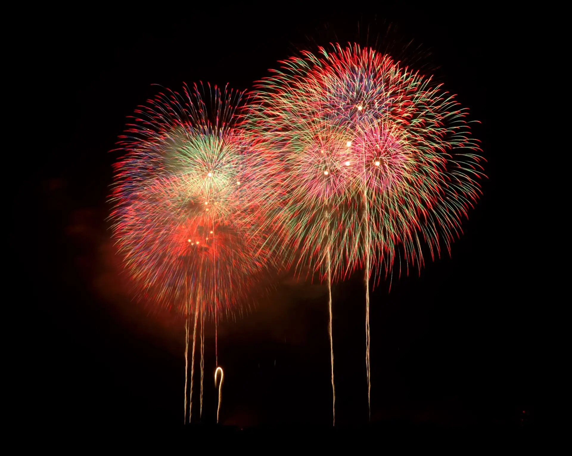 長岡まつりの夜空に並んで開く大輪の菊花火