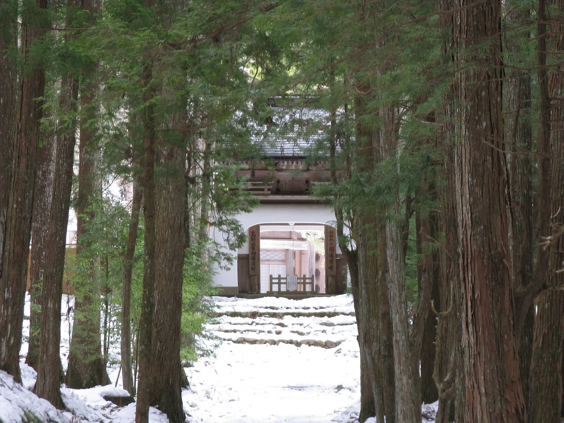 杉木立の間を雪の参道が山門へと続く（円通律寺）