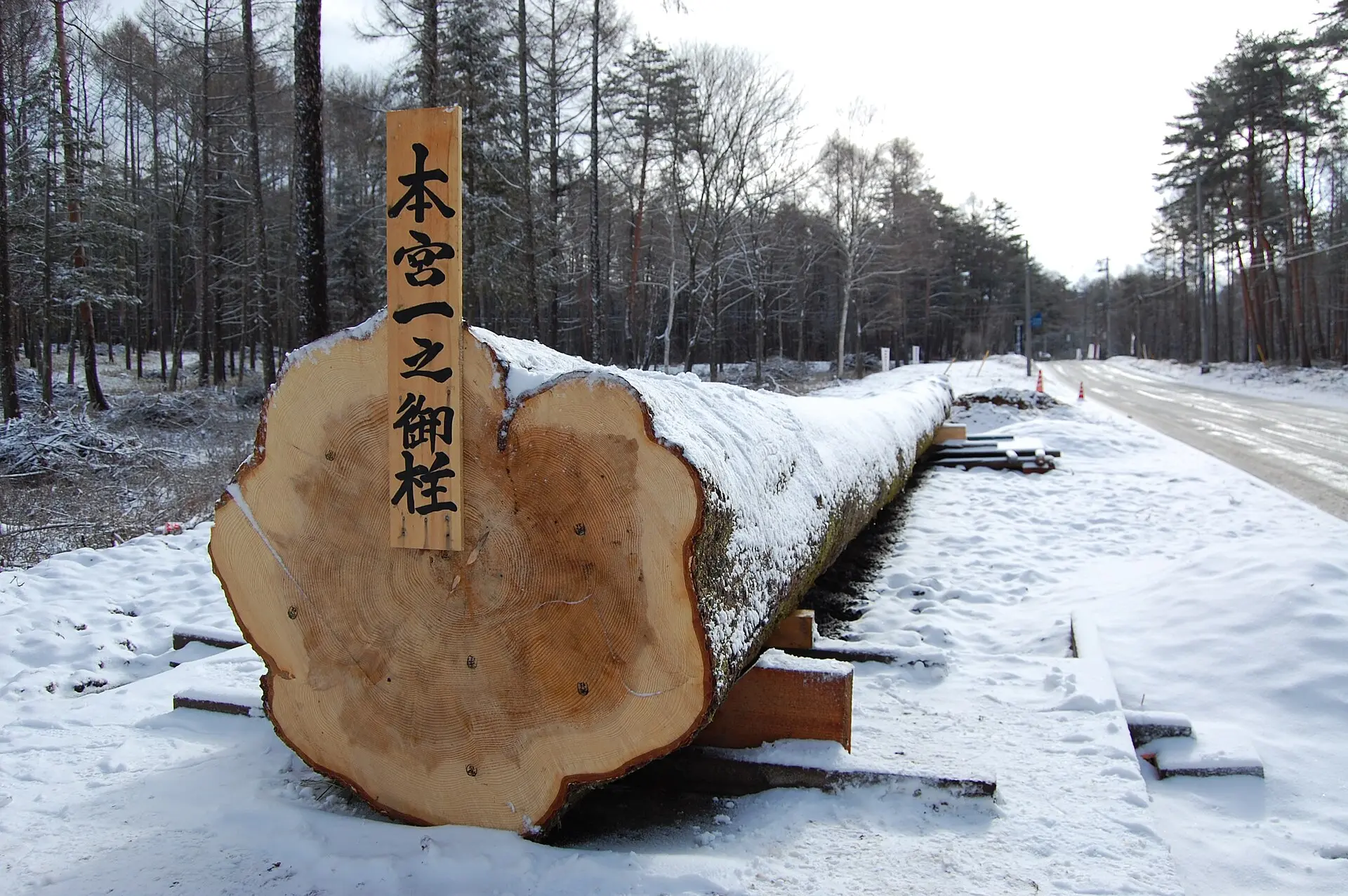 雪の上に安置された本宮一之御柱の御神木